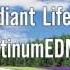 Radiant Life PlatinumEDM