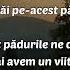 Cât Trăim Pe Acest Pământ Versuri De Nicolae Dabija