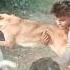 Dog Fight German Shepherd And Rottweiler Fight Dog Attacked Shorts Short