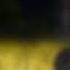 Deadtubbies The Last Mistake OST Teletubbieland Night Ambience
