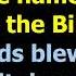 Wellerman Sea Shanty Karaoke Version