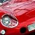 Chris Rea GTO