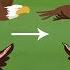 How Birds Fly The Dr Binocs Show Best Learning Videos For Kids Peekaboo Kidz