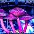 Festival Mix 2025 Dimitri Vegas Afrojack NERVO MANDY Best Songs Remixes Mashups