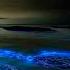 Legal System Midnight Love Blue System Modern Talking Style AI