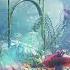 Magic Mushroom High Forest Psychedelic Visuals Chill Music For Your Mushroom Trip