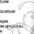 Tülay Maciran Halay Potpori 2014