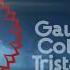 Gaumont Columbia Tristar Films 2004 Logo