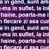 Alina Eremia Poarta Ma Lyrics Versuri