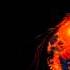Sepultura Inner Self Instrumental Track HQ