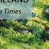 Irish Archaeology From Mesolithic To Modern Times 90 Mins Full Podcast