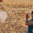 Arezo Nomadic Life Building Shelter And Harvesting Crops