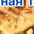 Аварийная посадка Валько Папа читает Аудио сказки Аудио книги Читаем вместе