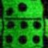 I M Just A Toy To You My Love Telamon Shedletsky Past 1x1x1x1 1x4 THIS IS NOT A SHIP
