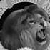 Metro Goldwyn Mayer 1956