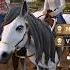 Star Equestrian Horse Ranch Opening Title Home Music Soundtrack OST HD 1080p