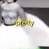 Pretty Little Baby Was Released 61 YEARS Ago Music Viral Fyp