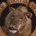 Metro Goldwyn Mayer 1988