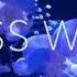 Cicæda Glass Walls Official Lyric Video
