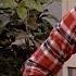 ICarly Remote Robber Nickelodeon UK