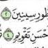 Surah At Tin Beautiful Heart Melting Peaceful Recitation By Raad Al Kurdi