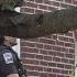 4 Found Dead In Northern Virginia Home