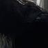 The Walking Dead OST Episode 10 14 Look At The Flowers