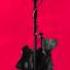 Blackbear I Needed You OFFICIAL VERSION