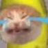 Crying Banana Cat 1 Hour