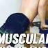 Khabib S Training Secrets Revealed Muscular Endurance For MMA
