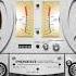 Digital Emotion Digital Emotion 1984 Full Album