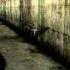 Silent Hill 3 OST Rain Of Brass Petals
