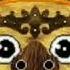 Wiwek LMLOYF Barong Family