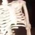 Skeleton Meme Template
