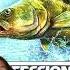 Monster Fishing Game