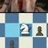 I Cannot Escape The Botez Gambit
