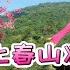 热播歌曲 上春山 背面完整版来了 一起收藏学起来