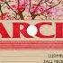 Narciss Tall People LT083