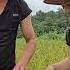A Couple S Simple Life Catching Snails To Sell Cooking A Family Meal In The Countryside