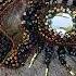 ОБЗОР Брошь из бисера Скорпион Scorpio Bead Brooch