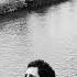 Michael Marcagi Follows You Official Audio