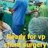 Ready For Vp Shunt Surgery Neuro Surgery Critical Condition