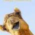 Happy Hump Day Humpday Wednesday Motivation Happyhumpday Keepgoing Nearlytheweekend
