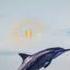 Dolphins Sound