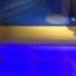 Jordin Sparks Nickelodeon S BrainSurge 2011 04 25