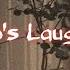 Ava Max Who S Laughing Now NightCore