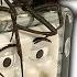 Redback Spiders Troublesome Infestations Flamethrower Effective Spider Control