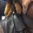 Memphis Rapper Big Roguish Drops Hot Freestyle On Famous Animal Tv