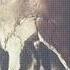 Sloth Syndrome Brevis Give U SEM DIREITOS AUTORAIS NO COPYRIGHT