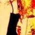Louise Robey FirebirdTeaser Mp3 Mov